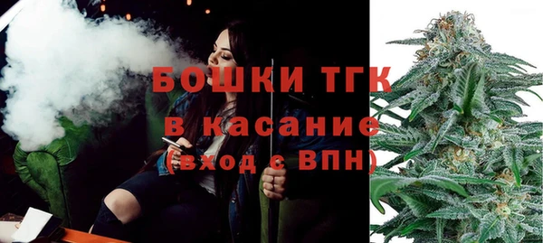 молекула духа Лихославль