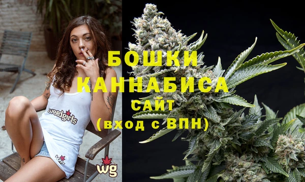 молекула духа Лихославль